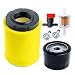 HOODELL 796031 Air Filter with Tune Up Kit, for Briggs and Stratton 591334 492932 696854, John Deere D100 D110 D125 D130, Husqvarna YTH22V46, Lawn Mower Oil Filter primary