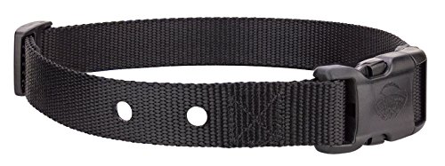 Country Brook Design Nylon Replacement Collar for Dog Fence Receivers - Black