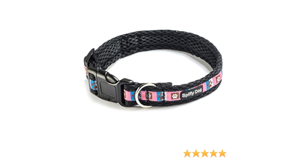 spiffy dog collars amazon