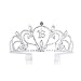 FRCOLOR Birthday Crown Rhinestone Crystal Princess Girls Tiara for 16th Birthday Party