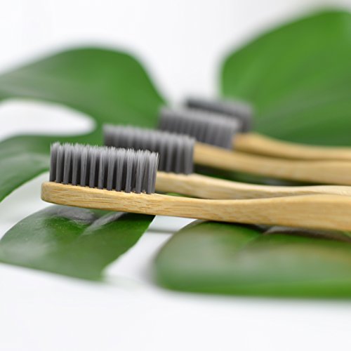 image for SisterNorth 100% Natural Bamboo Toothbrush Set of 4 + Bamboo Travel Ca