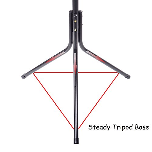 12-Hook Standing Coat Hat Rack Metal Umbrella Stand, Black CR12