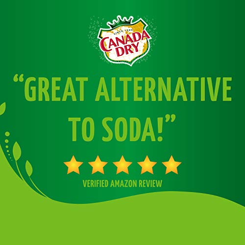 Canada Dry, Original Ginger Ale Powder Drink Mix (12 boxes, 72