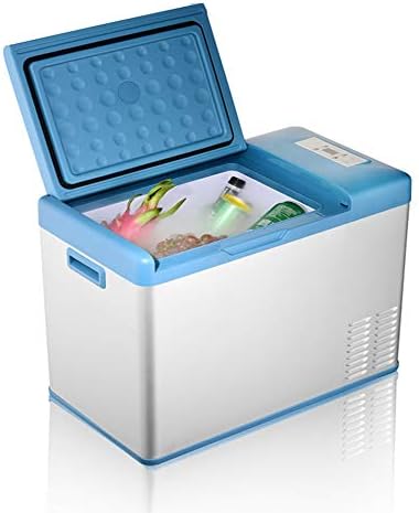 Fridges Portable Cool Box Mini, 12V DC 23L Electric Cooler for Car Travel, Camping, Lightweight, Compact