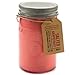Paddywax Scented Candles Relish Collection Soy Wax Artisan Candle in Glass Jar with Lid, 9.5-Ounce, Salted Grapefruit