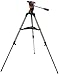 Celestron 93610 AstroMaster AZ Tripod for Small telescopes