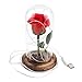 Emyln Beauty and The Beast Rose, Enchanted Rose Flower with 10 LED USB Lights in Glass Dome on a Wooden Base for Lover, Weddings, Anniversaries, (Red) 