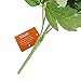 Silk Hydrangea White 5 Heads SOLEDI Artificial Flower Arrangements Bunch Bridal Bouquet Wedding Party Garden Home Decor