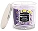 Aromascape 3-Wick Scented Jar Candle, Lavender & Vanilla