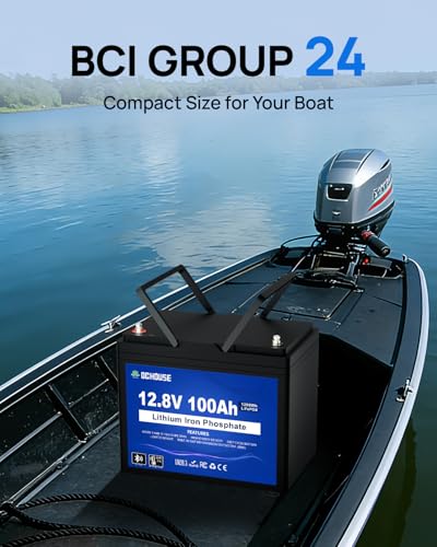 DC HOUSE 12V 200Ah (2 Packs 100AH) LiFePO4 Lithium Battery, Bluetooth & Low Temp Protection, Group 24, Up to 15000 Cycles, 100A BMS, Perfect for Camping, RV, Solar System, Off-Grid
