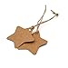 Christmas Star Gift Tags with String Kraft Paper Blank Gift Wrap Tags 100 Pcs Wedding Crafts Tags with 66 Feet Jute Twine