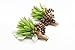 Yokoke Wedding Bridal Bouquet Holding Flower and Groom Boutonniere Artificial White Peony Berry Green Plants for Wedding Home Decor (Bouquet+2 pcs Corsage)