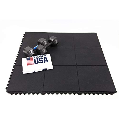 IncStores Evolution Rubber Floor Tiles - Equipment Mats, Gym Flooring and Utility (Center Tiles, 5 Pack)