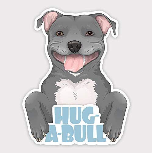 pitbull dog cute