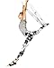 Tucketts Allegro Pilates Toeless Yoga Socks with Grips for Women, Toeless Socks For Women, S/M, 1 Pair Solid Grey Dot