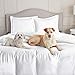 Nestl Navy Blue Duvet Cover King Size - Soft Double Brushed King Duvet Cover Set, 3 Piece, with Button Closure, 1 Duvet Cover 104x90 inches and 2 Pillow Shams