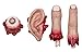 Severed Finger, Ear, Eyeball & Thumb
