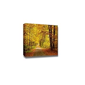 Canvas Prints Wall Art - Pathway in The Autumn Forest with Yellow and Red Leaves | Modern Home Deoration/Wall Art Giclee Printing Wrapped Canvas Art Ready to Hang - 12" x 18"