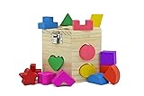 Darius 15 Holes Hexagonal Intelligence Box Shape Matching Blocks