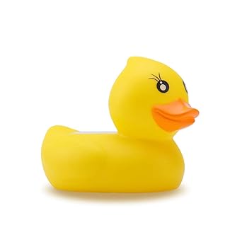 duck water thermometer