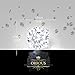 ORROUS & CO Legacy Collection 18k White Gold Plated Cubic Zirconia Cut Unisex Solitaire Stud Earrings, Round (1.90 Carats)