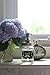 Milkweed Farms Premium Anti Rust Stainless Steel Mason Jar Soap Dispenser Lid with Waterproof Labels