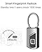 Fingerprint Padlock, Deep Dream Bag Lock with Metal IP66 Waterproof,Suitable for Gym Locker,School Locker Lock,Backpack,Suitcase,Travel Luggage