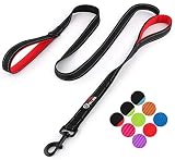 Primal Pet Gear Dog Leash 6ft Long - Traffic Padded Two Handle - Heavy Duty - Double Handles Lead for Control Safety Training - Leashes for Large Dogs or Medium Dogs