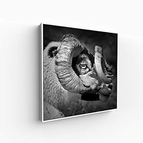 Canvas Wall Art for Living Room, Bedroom Portrait Framed Canvas Prints for Home Decoration Ready to Hang - 16x16 inches