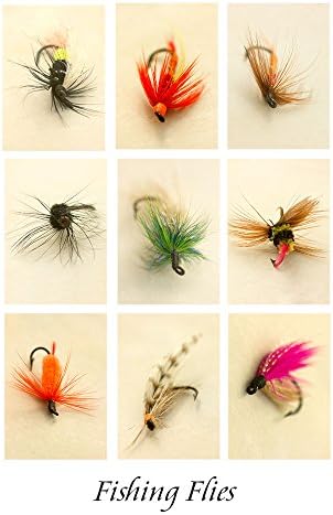 Fishing Fly Print
