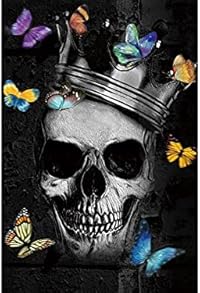 tableau tête de mort papillon 1