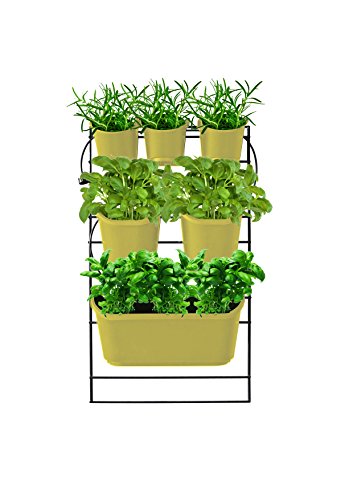 Watex WX052 Mounted Green Wall Grow-Your-Own Vertical Planter, Yellow