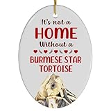 Burmese Star Tortoise Christmas Ornament 2024 - Its
