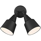 Generation Lighting 8560702-12 Outdoor Flood Light Adjustable Swivel Aluminum Flood Light, 2-Light 240 Total Watts, 13" H x 2