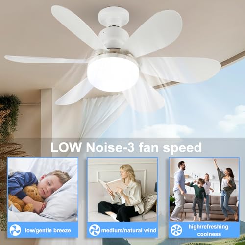 DBFAIRY 52cm Ceiling Fans with Lights, E27 Base Screw in Small Ceiling Fans Lights with Remote Timer 3 Colors Dimmable, 3 Speeds, 3000K-6500K LED Light for Bedroom Kitchen Office Dormitory