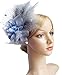Cizoe Women's Fascinators Hat Hair Clip Feather Wedding Headware Bridal 1920s Headpiece(1-Grey)