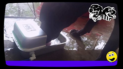 Automatic Self Filling Pet Waterer Bowl Connects To Garden Hose