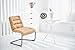 Zenree Comfortable Padded Collapsible Armless Lounge Chair Golden Micro Fiber Soft Cushion for Living Room Dorm Bedroom Patio