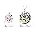 RoyAroma 2PCS 25MM Cloud & Mini Tree of Life Aromatherapy Essential Oil Diffuser Necklace Two Patterns Pendant Locket Jewelry,23.6