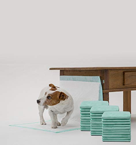 WizSmart All Day Dry Premium Dog and Puppy Training Pads, Made with Recycled Unused Baby Diapers and Eco Friendly Materials, 5 Cup Super 50 Count - Thumbnail 2