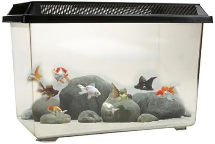 Ocean Free Pt068 Goldfish 12l Fish Tank Bowl Starter Kit Reptile Vivarium Turtle Tank Or Breeding Box Amazon Co Uk Pet Supplies
