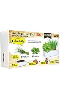 Huerto Urbano - Seed Box Mini Gatos - Batlle: Amazon.es: Jardín