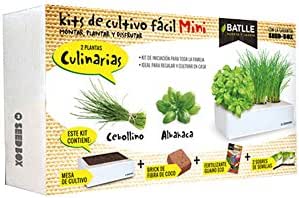 Huerto Urbano - Seed Box Mini Culinarias - Batlle: Amazon.es: Jardín