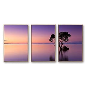 Framed Canvas Wall Art for Living Room,...