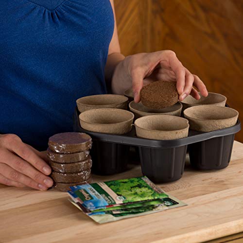 Organic Soil for Indoor/Outdoor Plants, expands to fit 3” and 4” pots - 6 Pack - Thumbnail 6