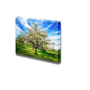 Idyllic Rural Landscape in Spring a Beautifully Blossoming Apple Tree - Canvas Art Wall Art - 12" x 18"