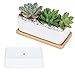 CINOTON Succulent Plant Pots Indoor, 6.69 inch Ceramic Planter Set, Square Flower Pot with Bamboo Tray for Cactus Decor Bedroom Garden Decorations