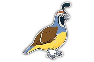 DG Graphics California Valley Quail Bird Art Decor 4'' x 5'' Vinyl Decal Sticker Wall Window Any Smooth Surface