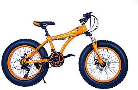 PRO RIDES- 20"X4" - Dolphin - Fat Bike/Snow Bike/Fat TYRE Bicycle -with 21 Gears