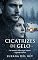 Livro Cicatrizes de Gelo (Quando Dezembro Chega)